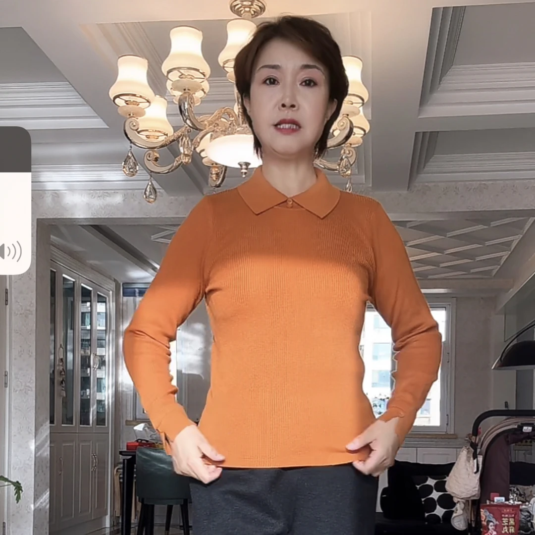 【葛行长定制】秋冬新款女士翻领精纺毛针织衫显瘦打底上衣NSY433