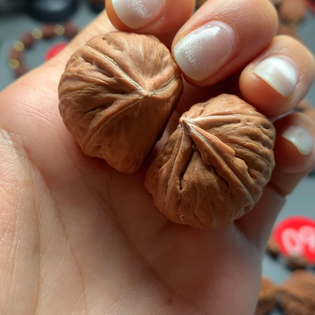 核桃5三棱半臂江山