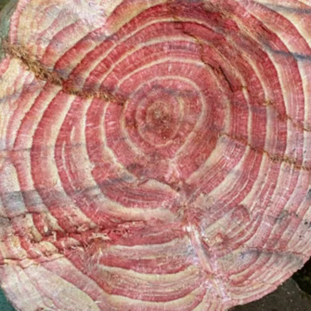 深山过江龙，，榼藤，过岗龙，改价链接