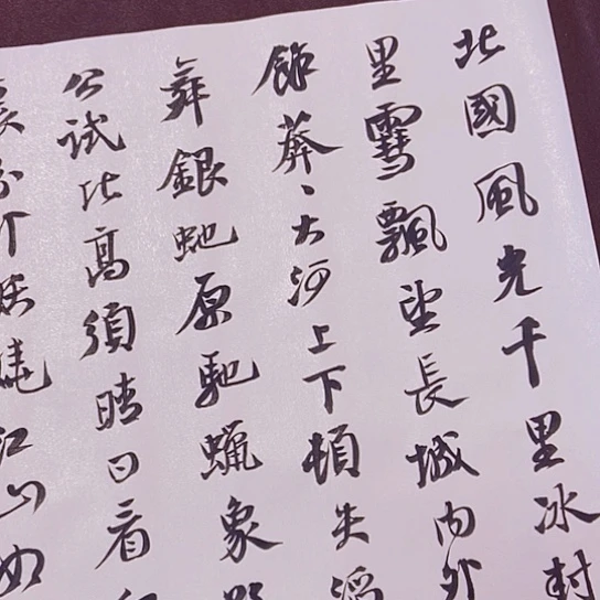 书法张建东老师书法作品