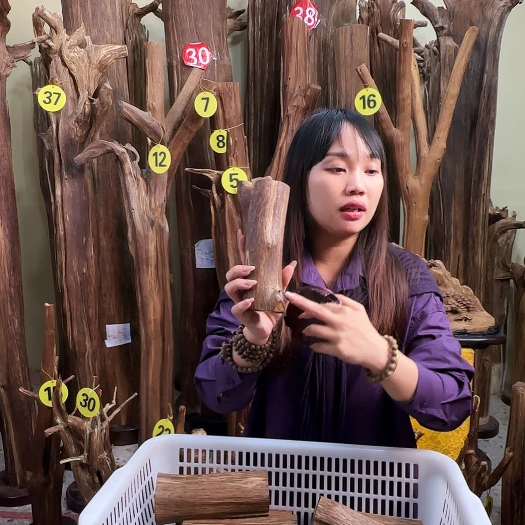 沉香沉香碎屑天然沉香原材料香料熏料