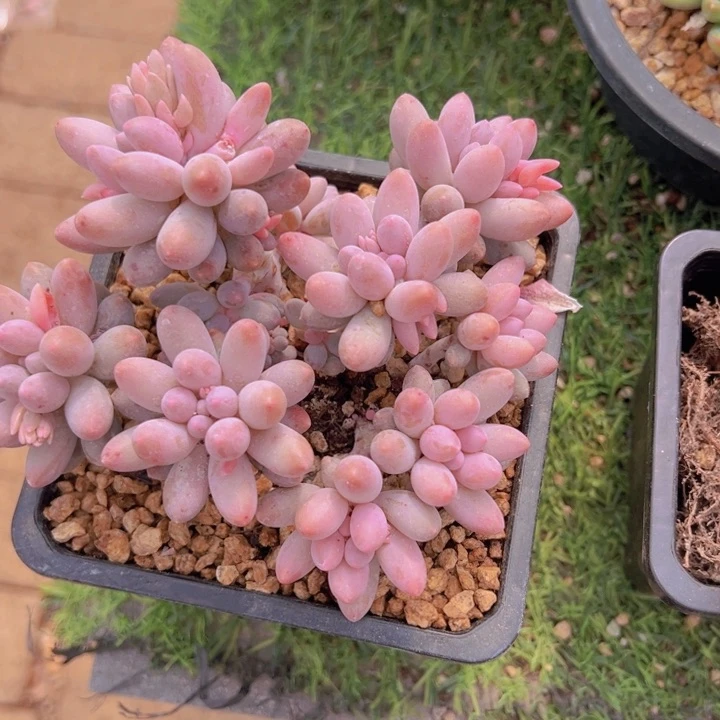 健健康康平平安安