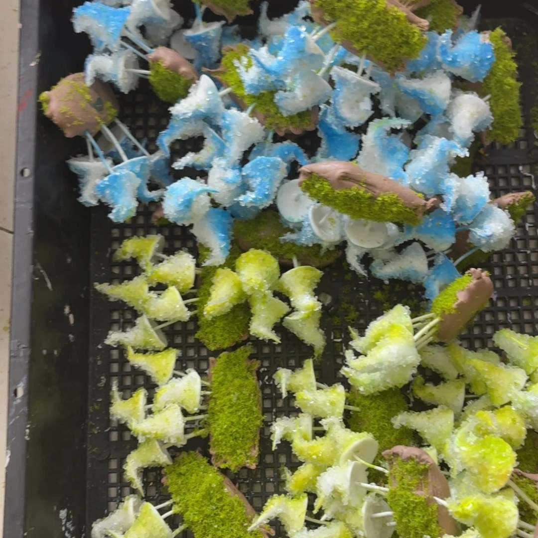 树脂57号2个哦哦哦哦哦哦哦