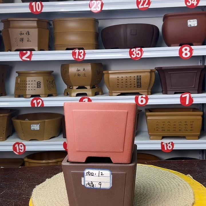 花盆紫砂你在一起