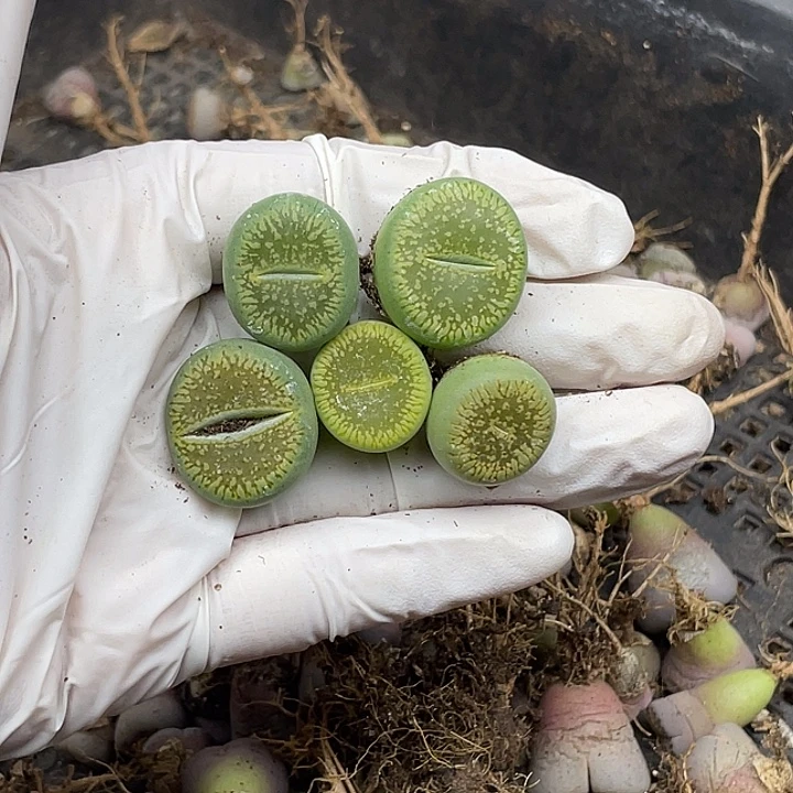 848空空空空空空空你