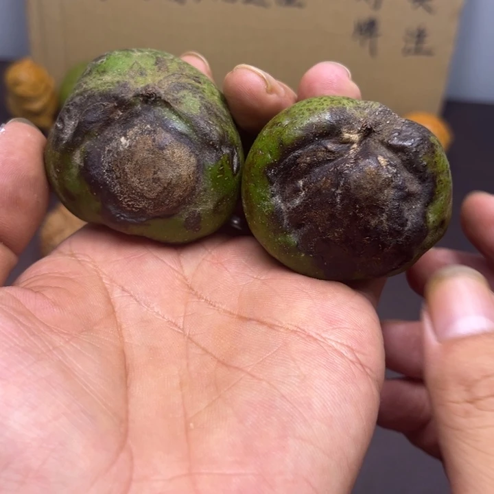 飞***觉菩提籽类青蛙青皮啥都不保
