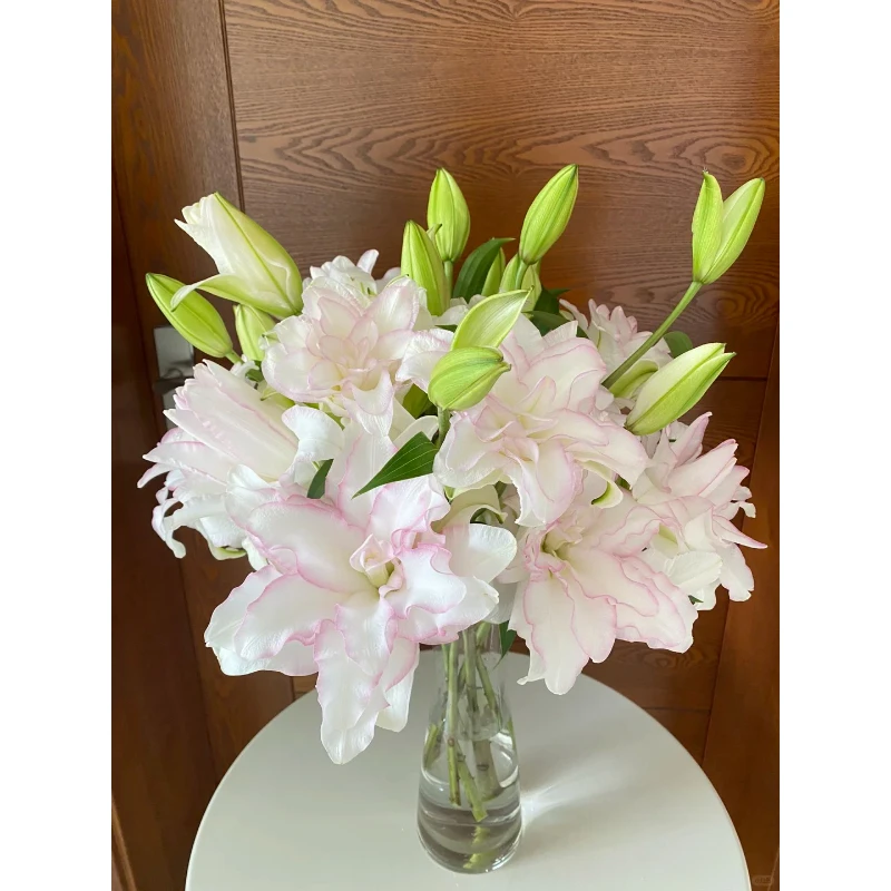 重瓣百合-冰美人-3支多头