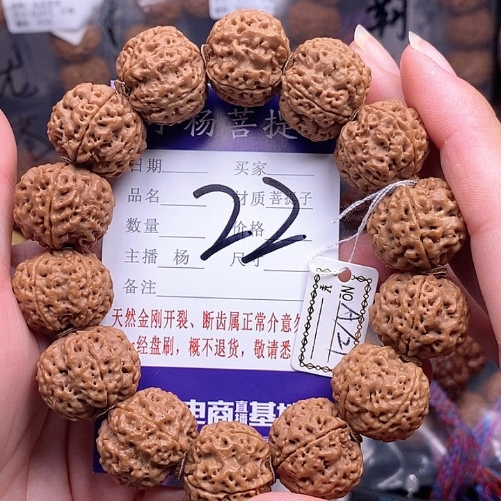 手串金刚菩提21铁骨双龙