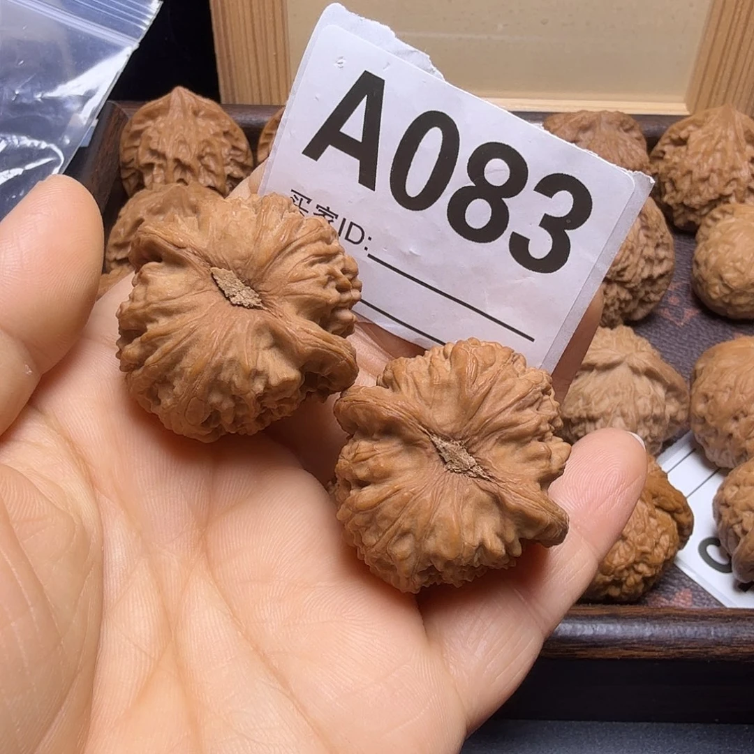 把件文玩核桃37尺白狮子A083