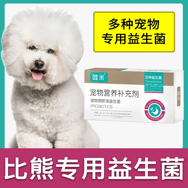 比熊犬专用益生菌粉成幼犬用狗狗宠物即溶肠胃宝肠道消化宝