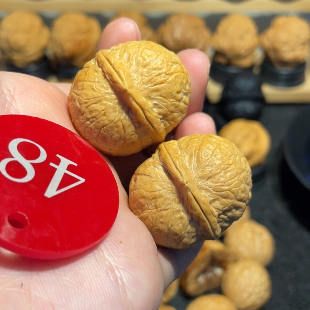 胖橘蛇皮球核桃微彩33