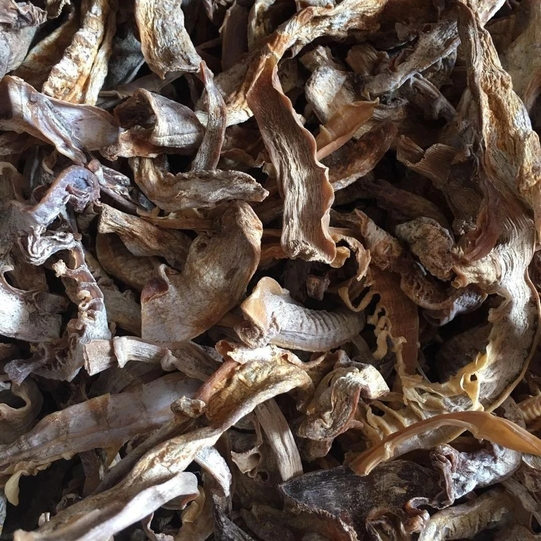 【无硫】笋尖干货无盐晒干福建笋干笋尖嫩农家土特产新笋净重天然