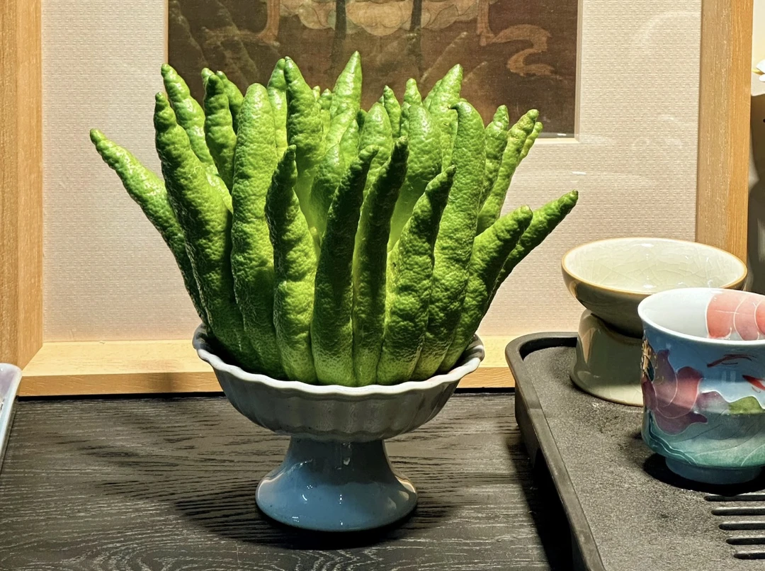 【精品·果王·高山佛手柑】佛手柑高端类花材 新鲜采摘云南基地直发