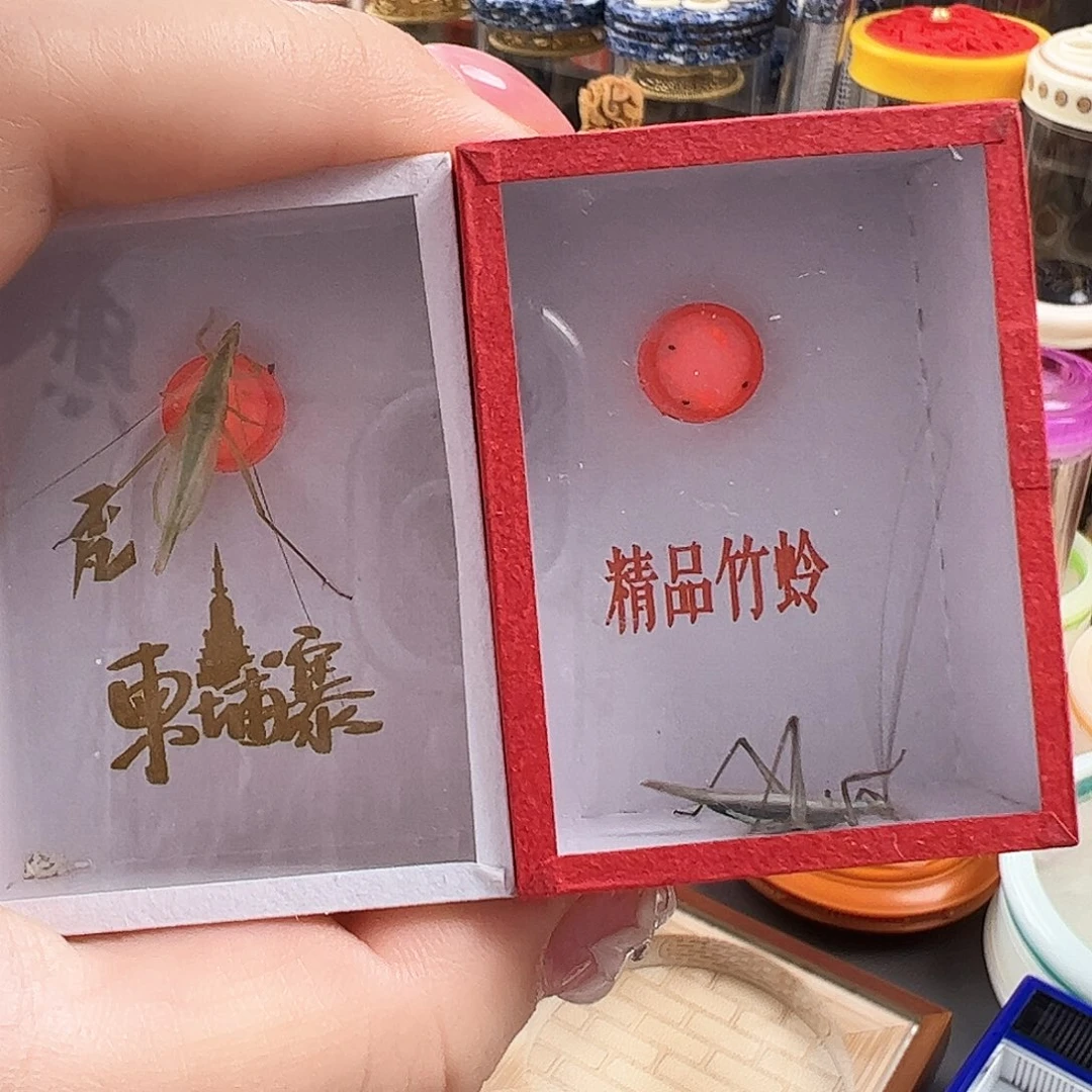 山***销哈哈哈紫竹柬埔寨