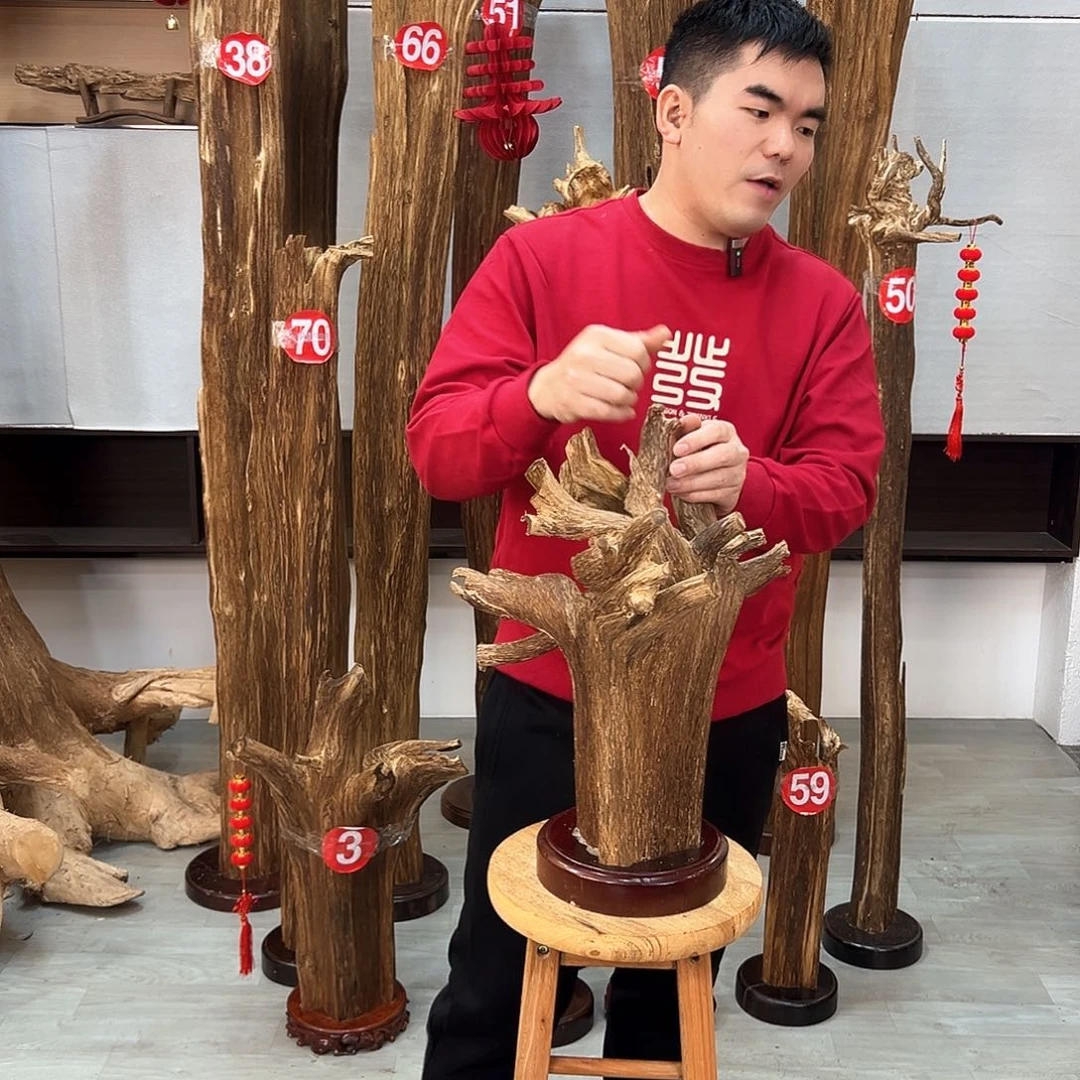 沉香摆件海南沉香摆件
