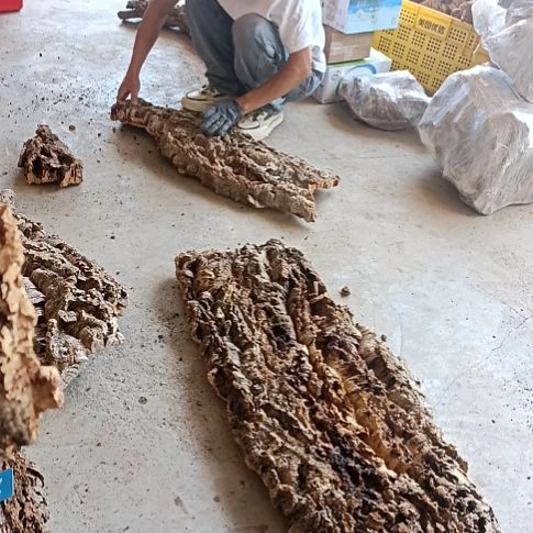 一物一拍一物一发