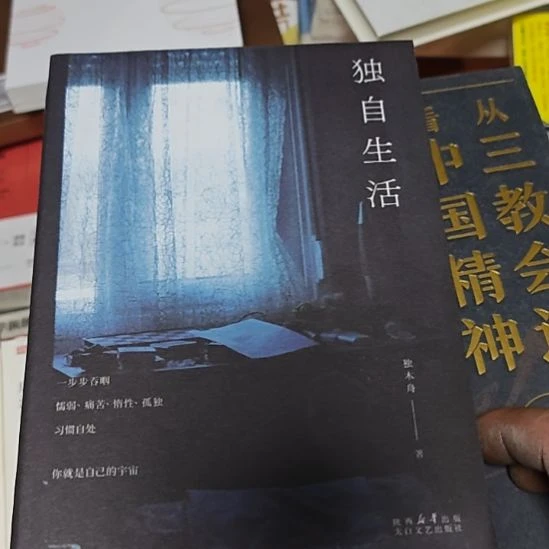 独木舟写的一本书，独自生活。