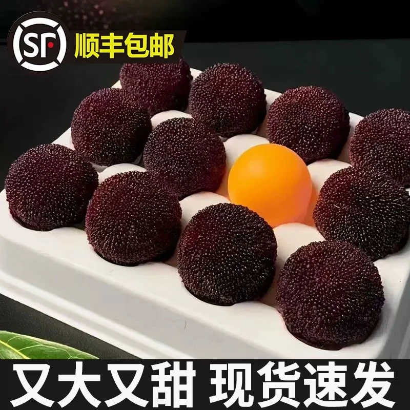 【10A果王】正宗仙居东魁杨梅新鲜现摘特大果孕妇水果礼盒包装