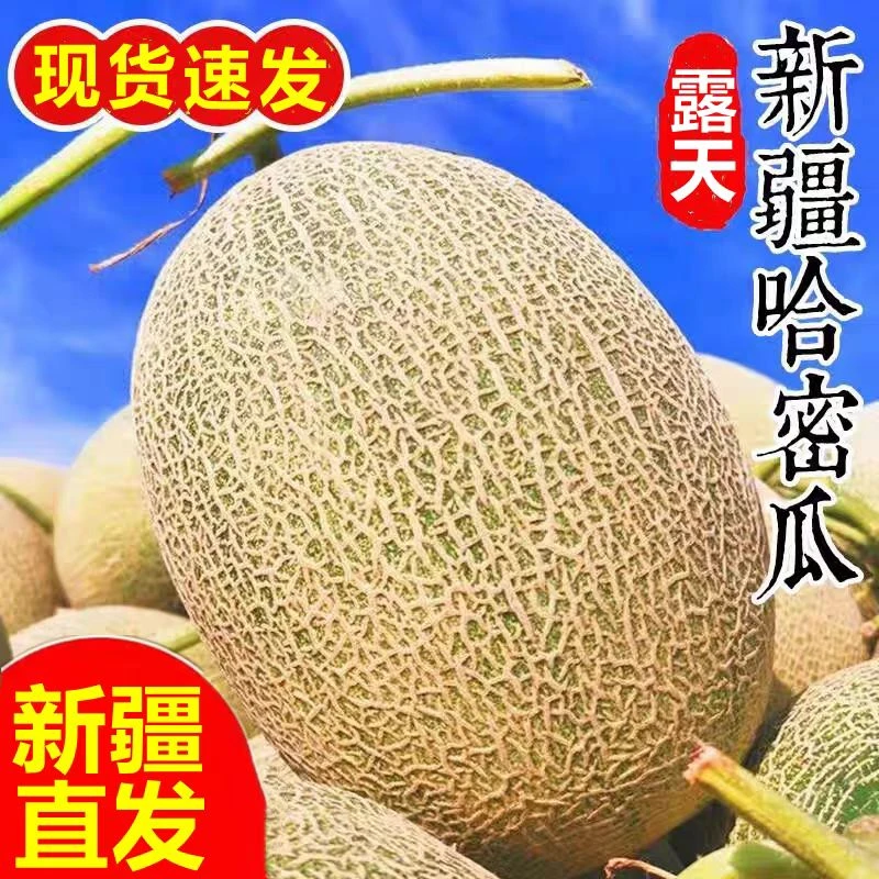 新疆正宗西州蜜25号网纹瓜新鲜多汁哈密瓜水果新疆特级哈密瓜