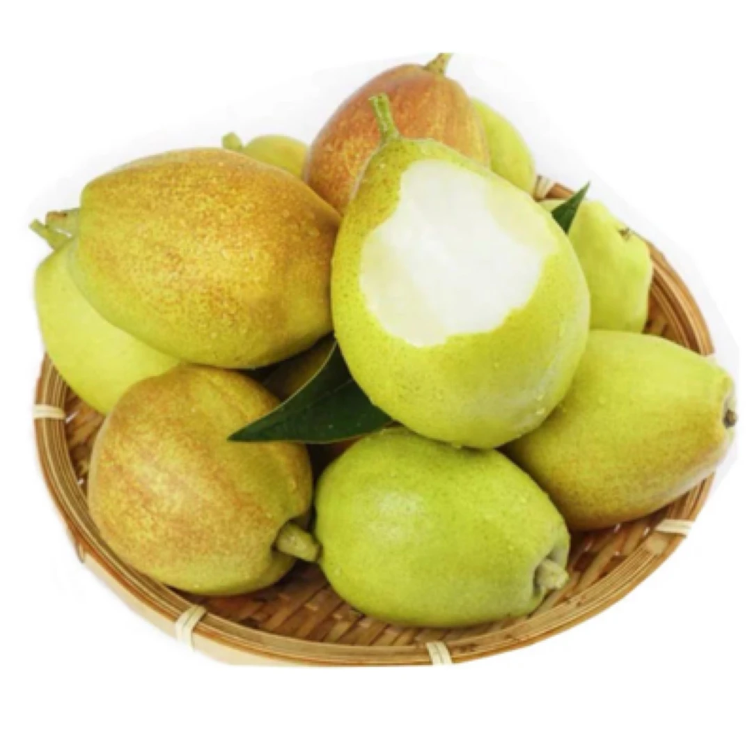 新疆库尔勒香梨 5斤一件