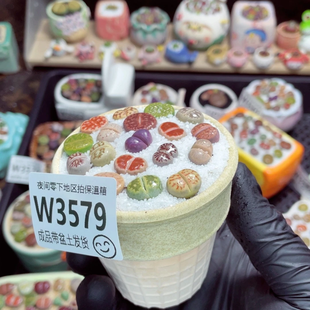 夜间零下地区拍保温箱w3579