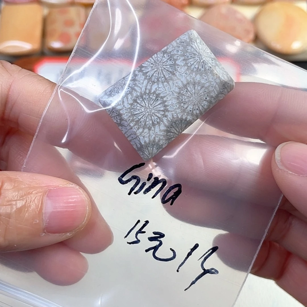 【闪购商品】硅化玉吊坠(赠链)未镶嵌G**a