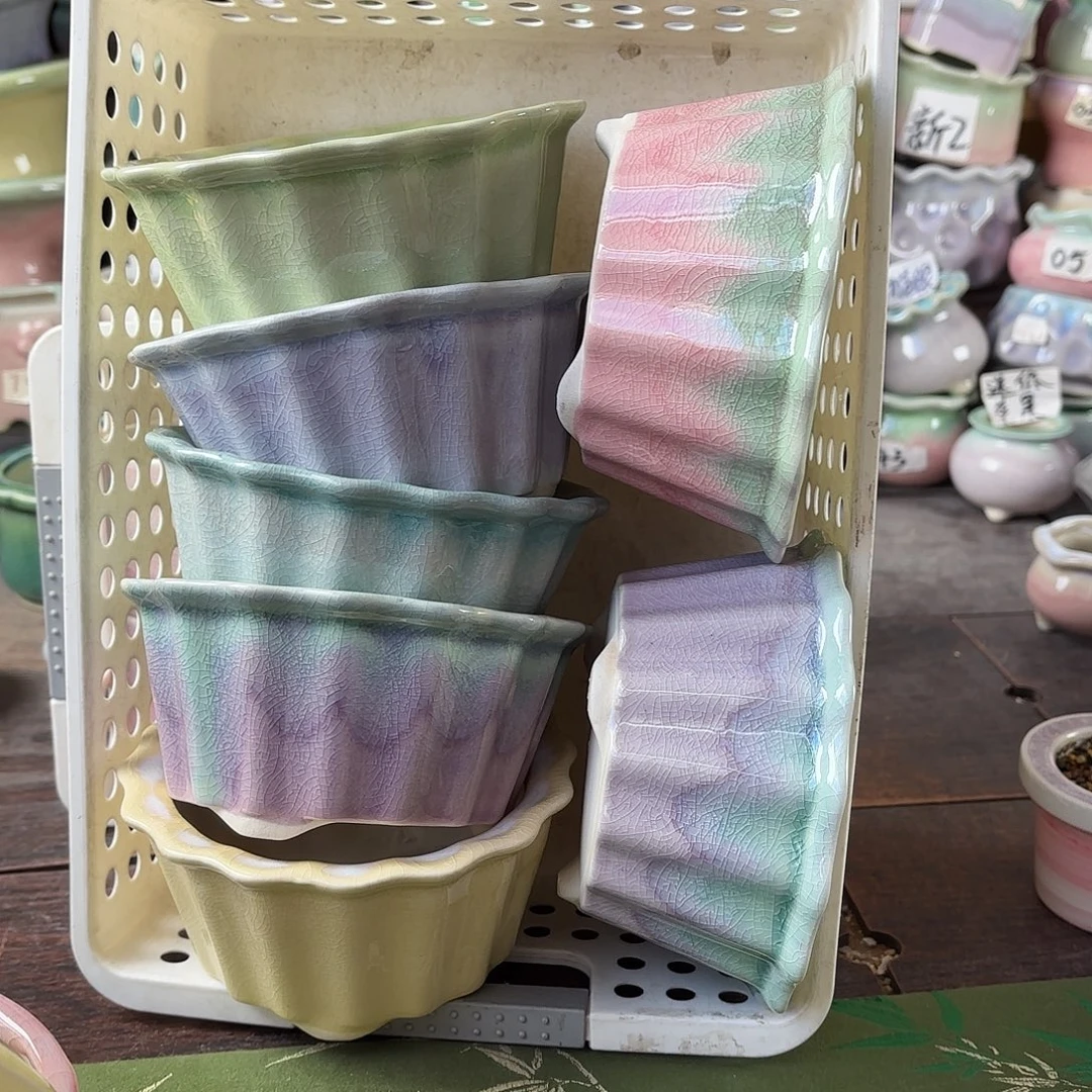 量货/10口高6深浅搭配发4