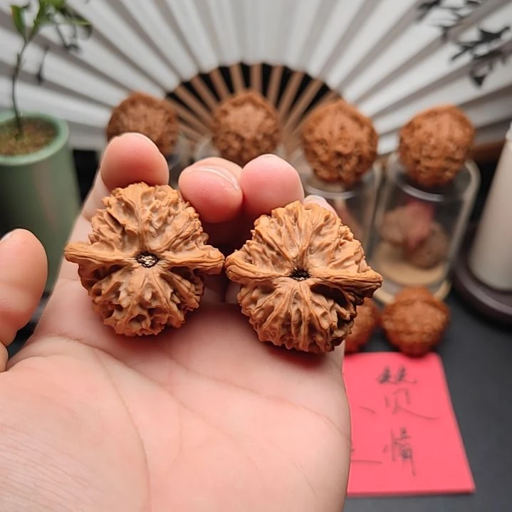 全品苹果园狮子头尺寸42大克重