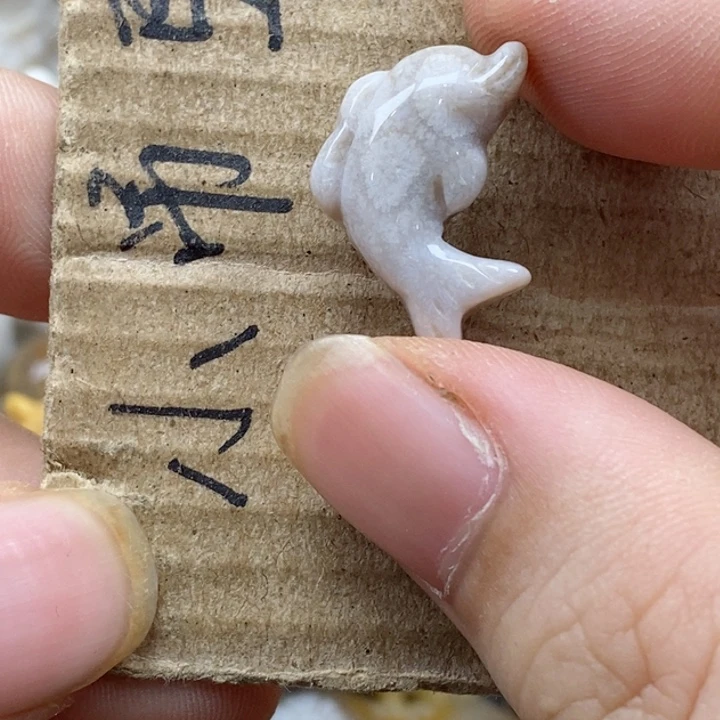 颈饰未镶嵌硅化珊瑚（珊瑚玉）a****r