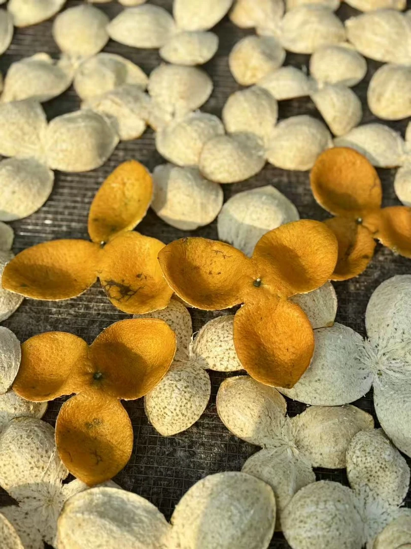 2025正宗新会梅江老树圈枝大红皮自然晒干油包饱满柑香浓郁