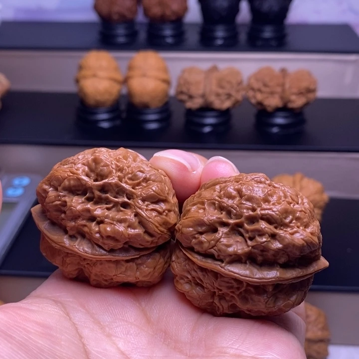 把件文玩核桃帝龙疙瘩包40