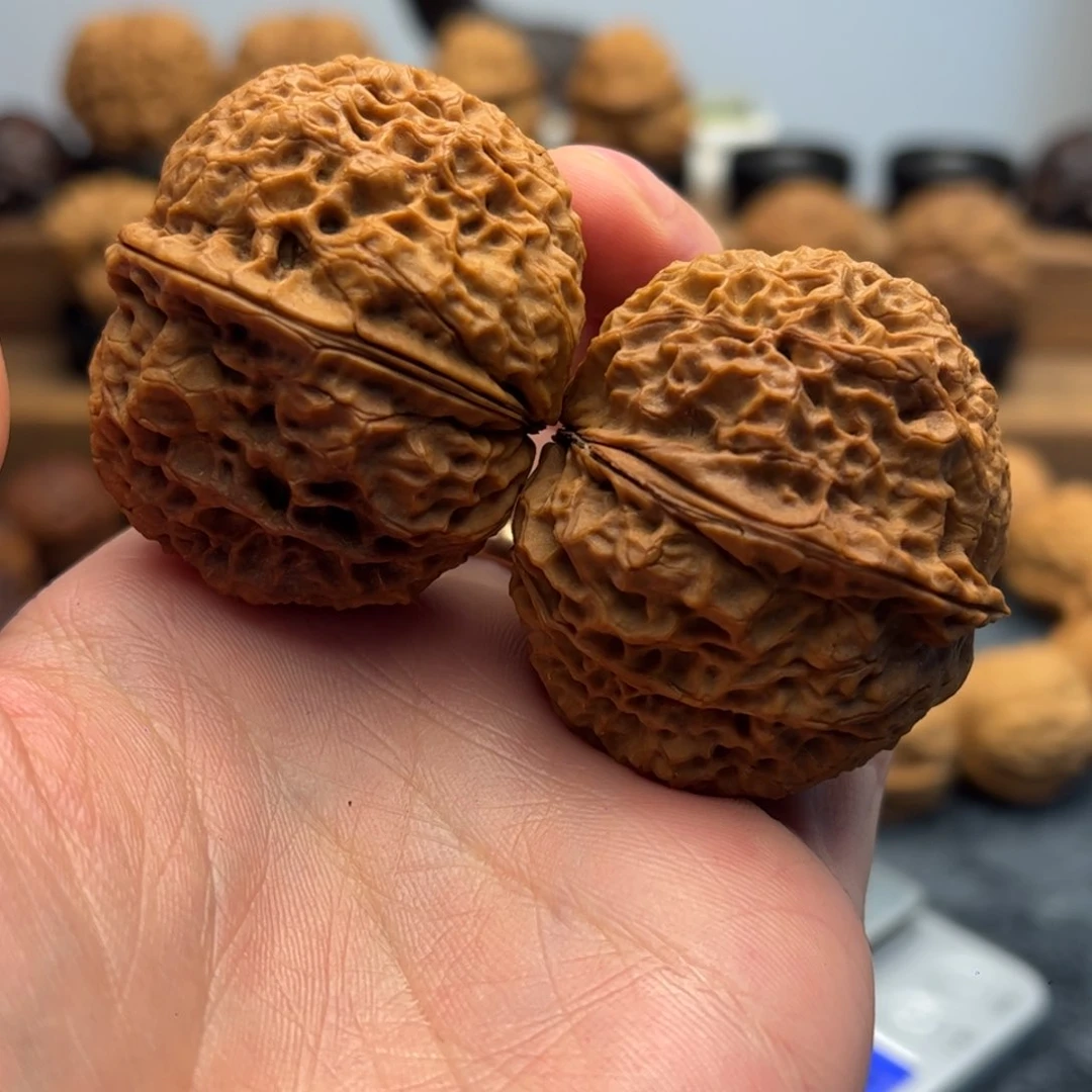 文玩核桃把件铁核桃12-13