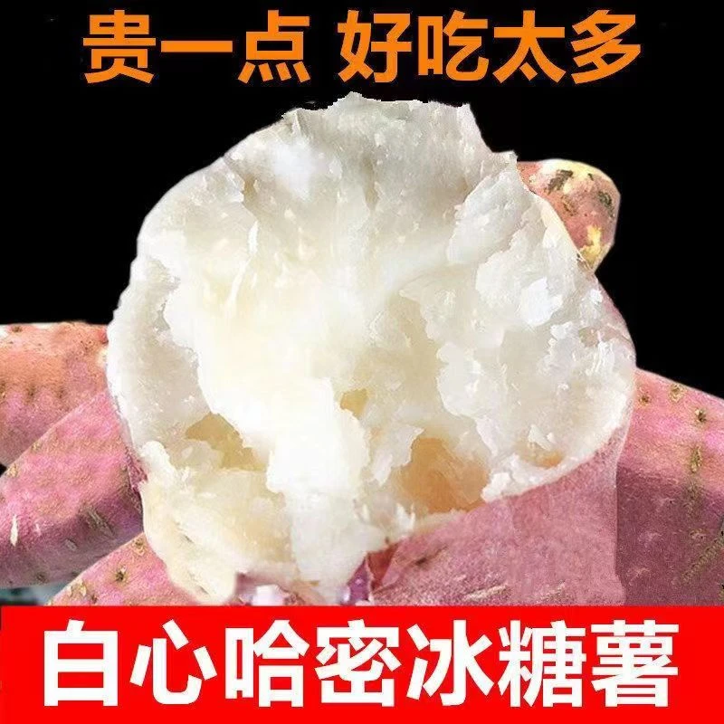 哈密红薯汝阳山区红土新鲜现挖干面甜红皮白瓤软糯香甜宝宝薯