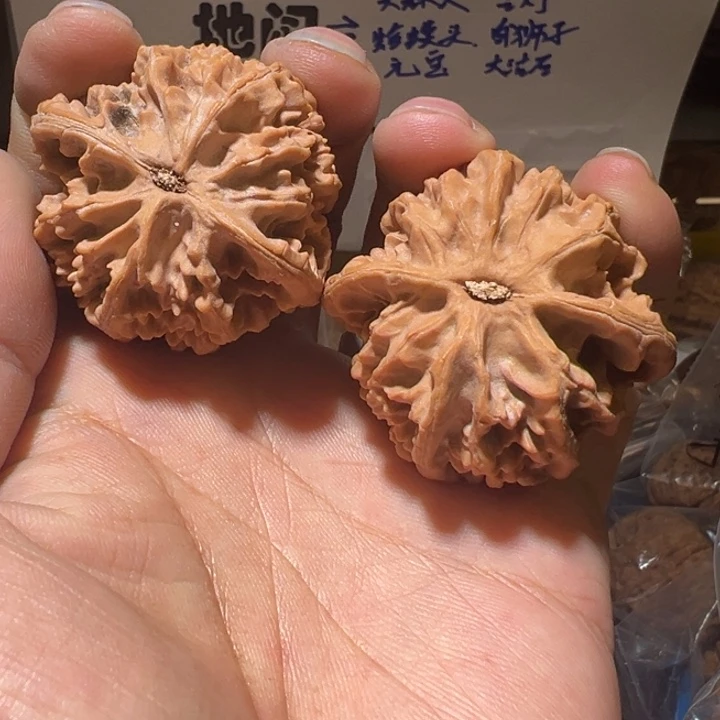 老***仔核桃野生小众滴溜圆