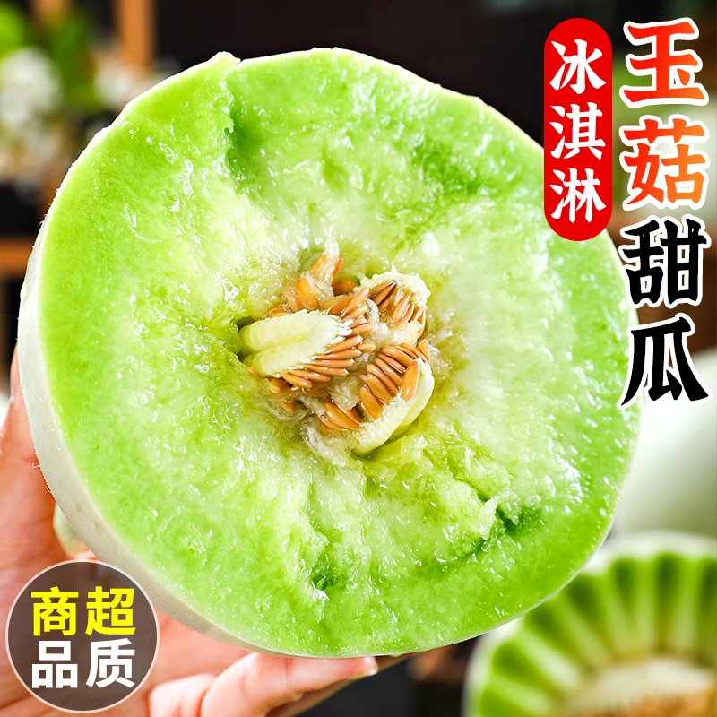 【玉菇甜瓜】新鲜水果当季奶香蜜香瓜蜜瓜冰淇淋哈脆甜密瓜