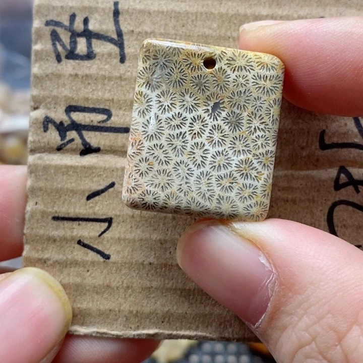 硅化珊瑚（珊瑚玉）颈饰未镶嵌