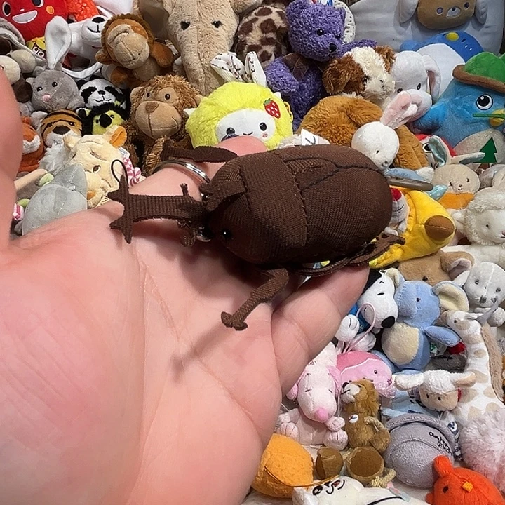 毛绒挂件哈哈哈哈哈哈