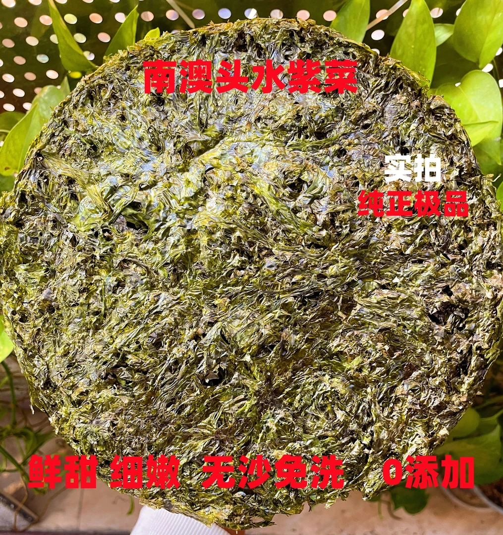 （南澳头水头水紫菜）鲜嫩免洗无沙正宗南澳头水绿菜特干极品紫菜