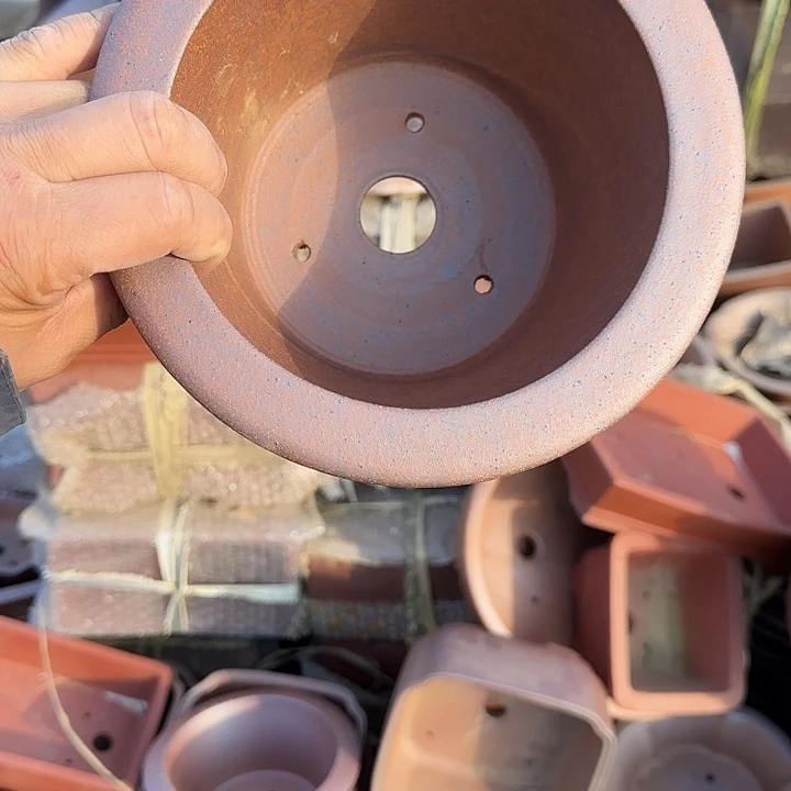 是一个不知名作家与著名导演兼电影演员们之间互相