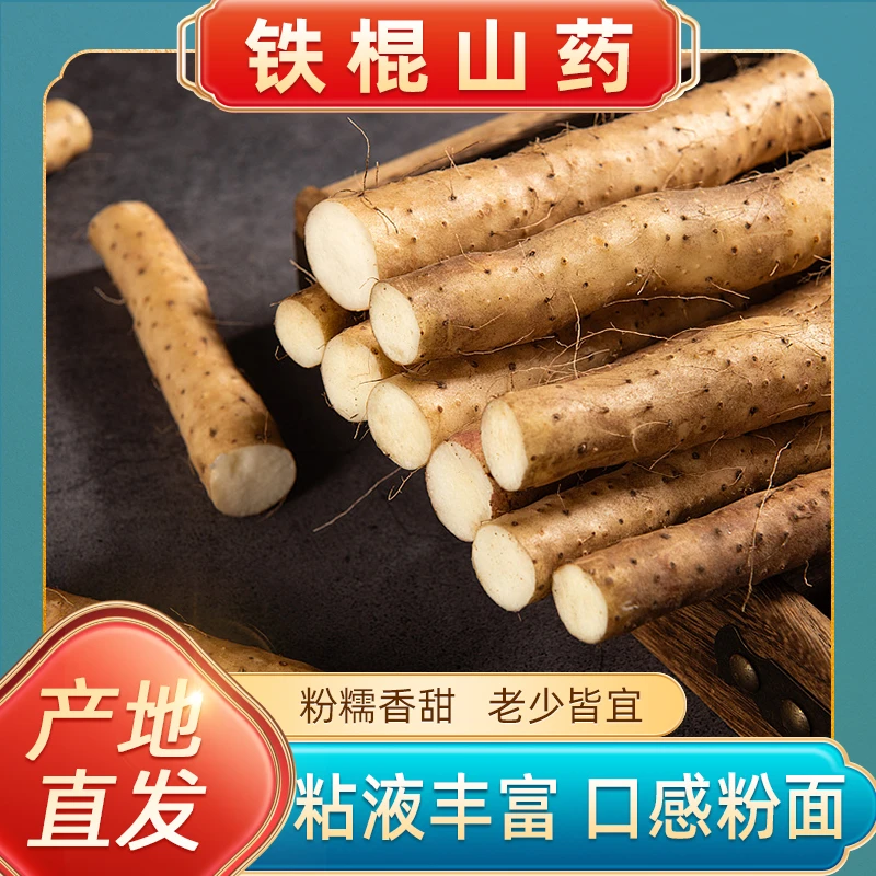 河南垆土焦作垆土地精选温县新鲜铁棍山药怀山药采挖现挖现发滋补