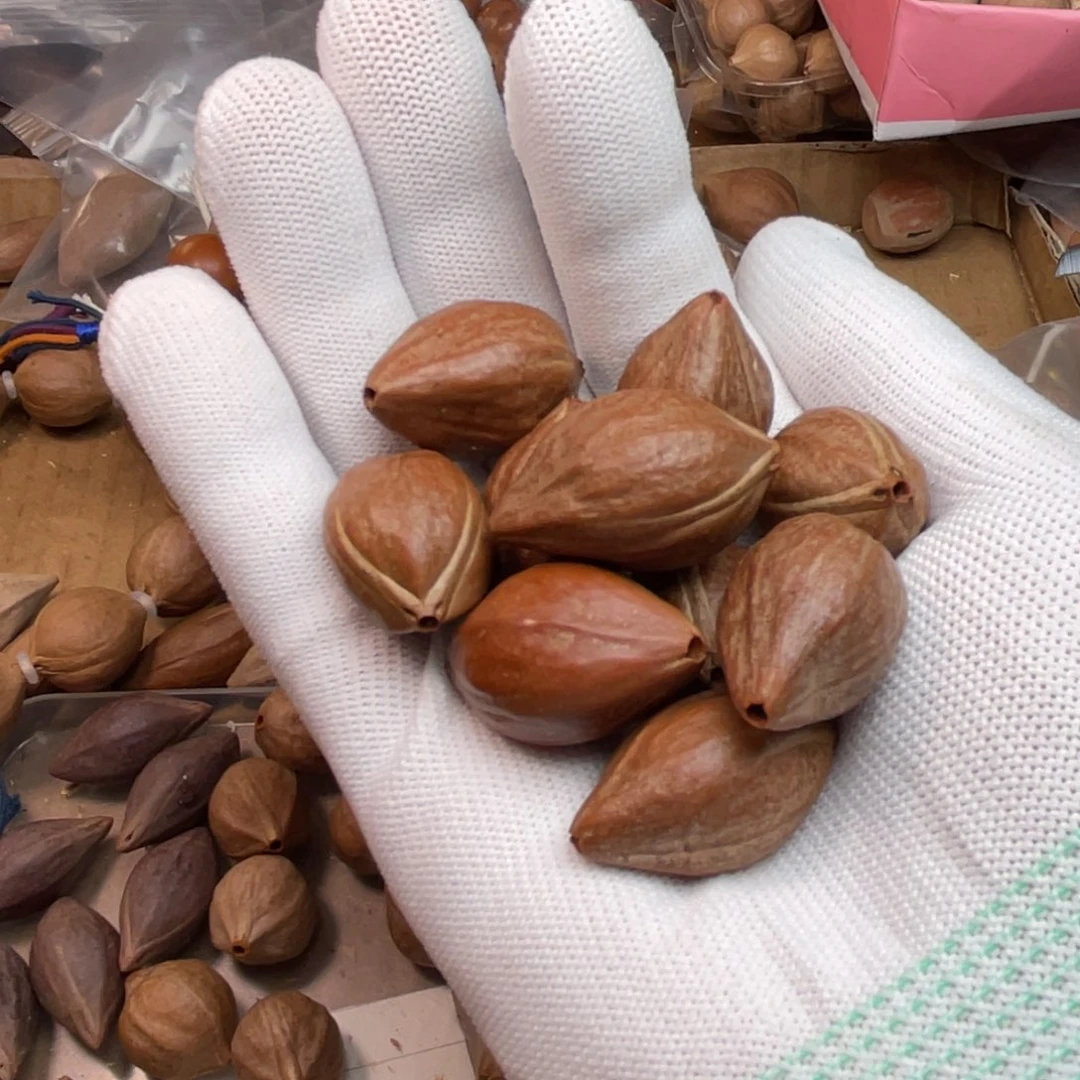 守***护橄榄核手串/手链1