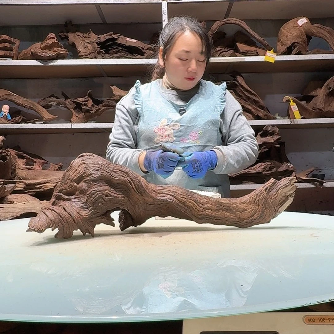 倍褚沉木不包损必褪色德****林6005