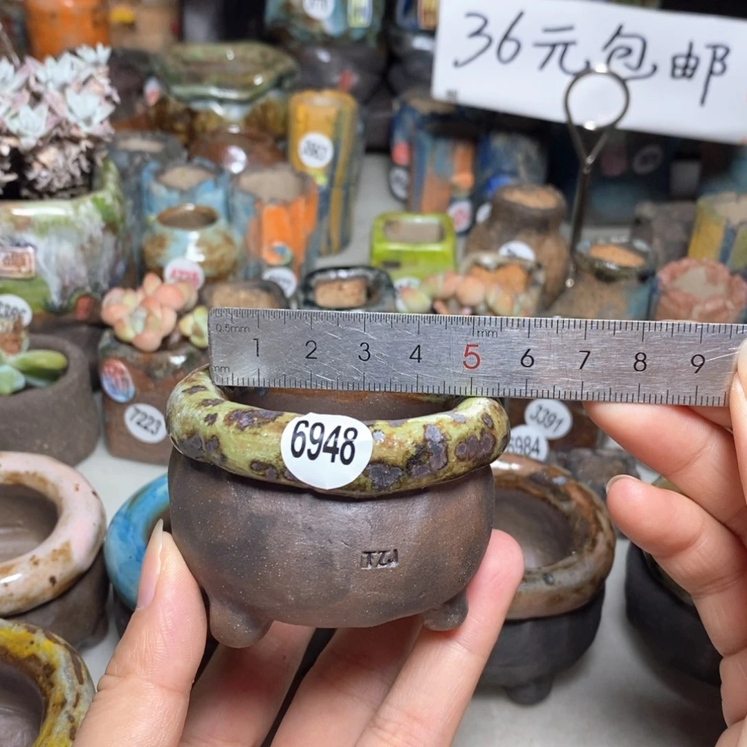 拍3送一个小礼物