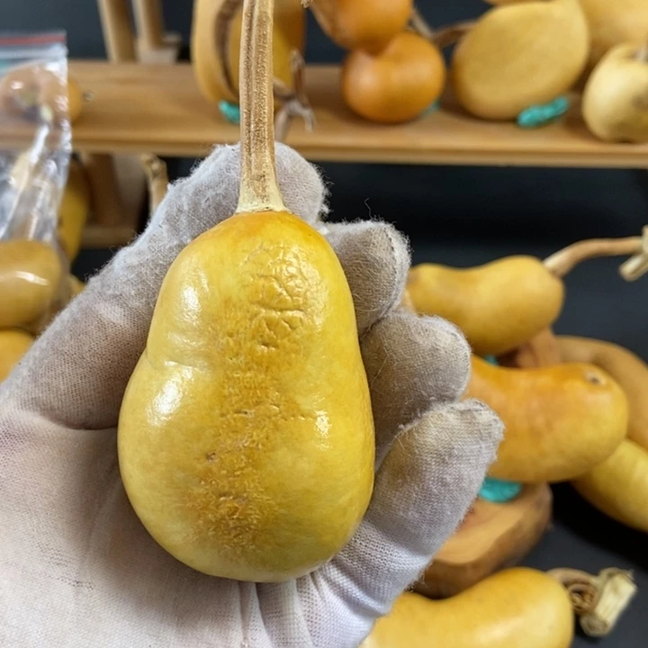 根**哥葫芦葫芦真的