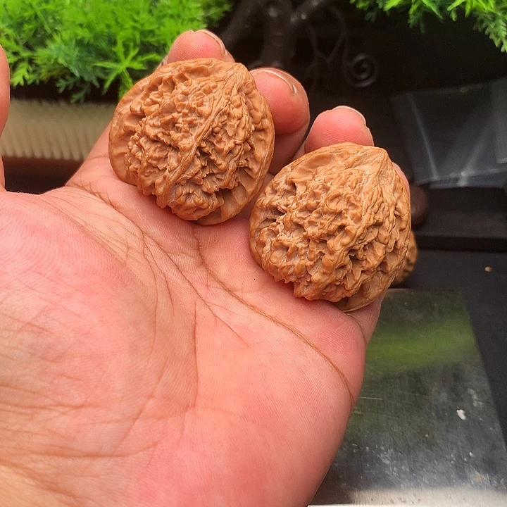 吊坠文玩核桃41.5满天星