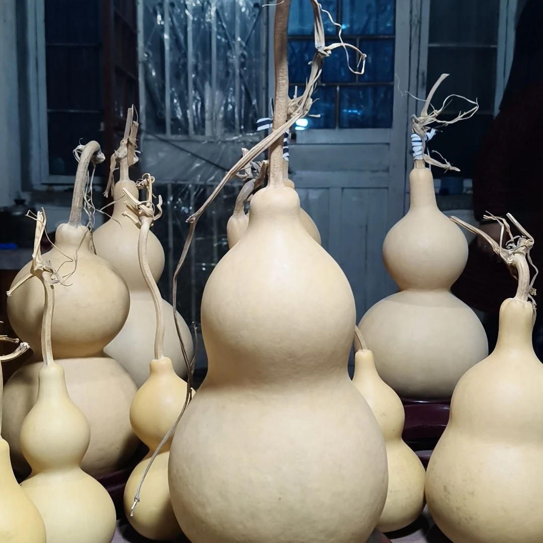 三醋酯纤维1234567890