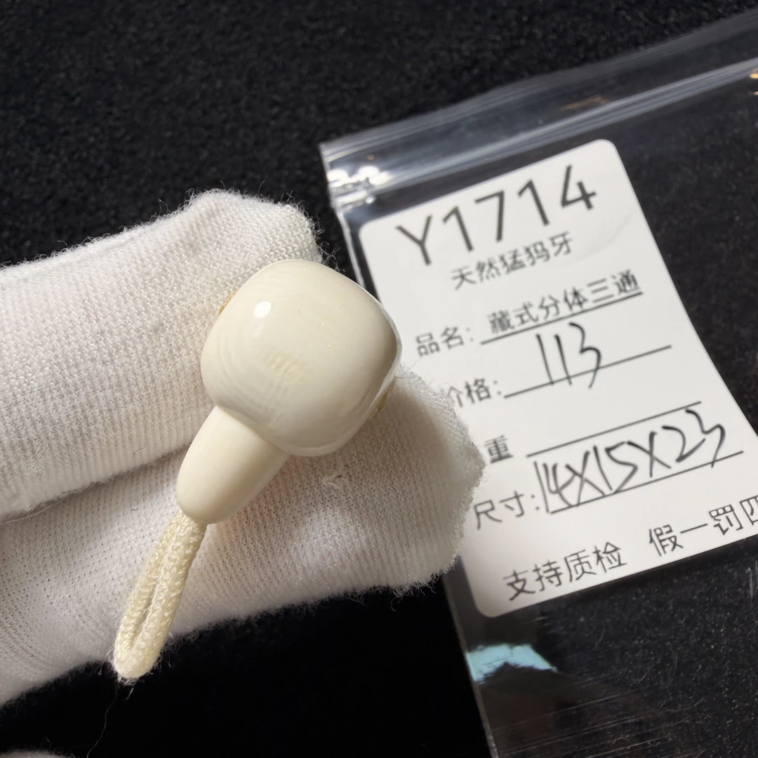 Y1714天然猛犸象牙胖墩藏式分体三通配饰果冻料14*15*23mm水印