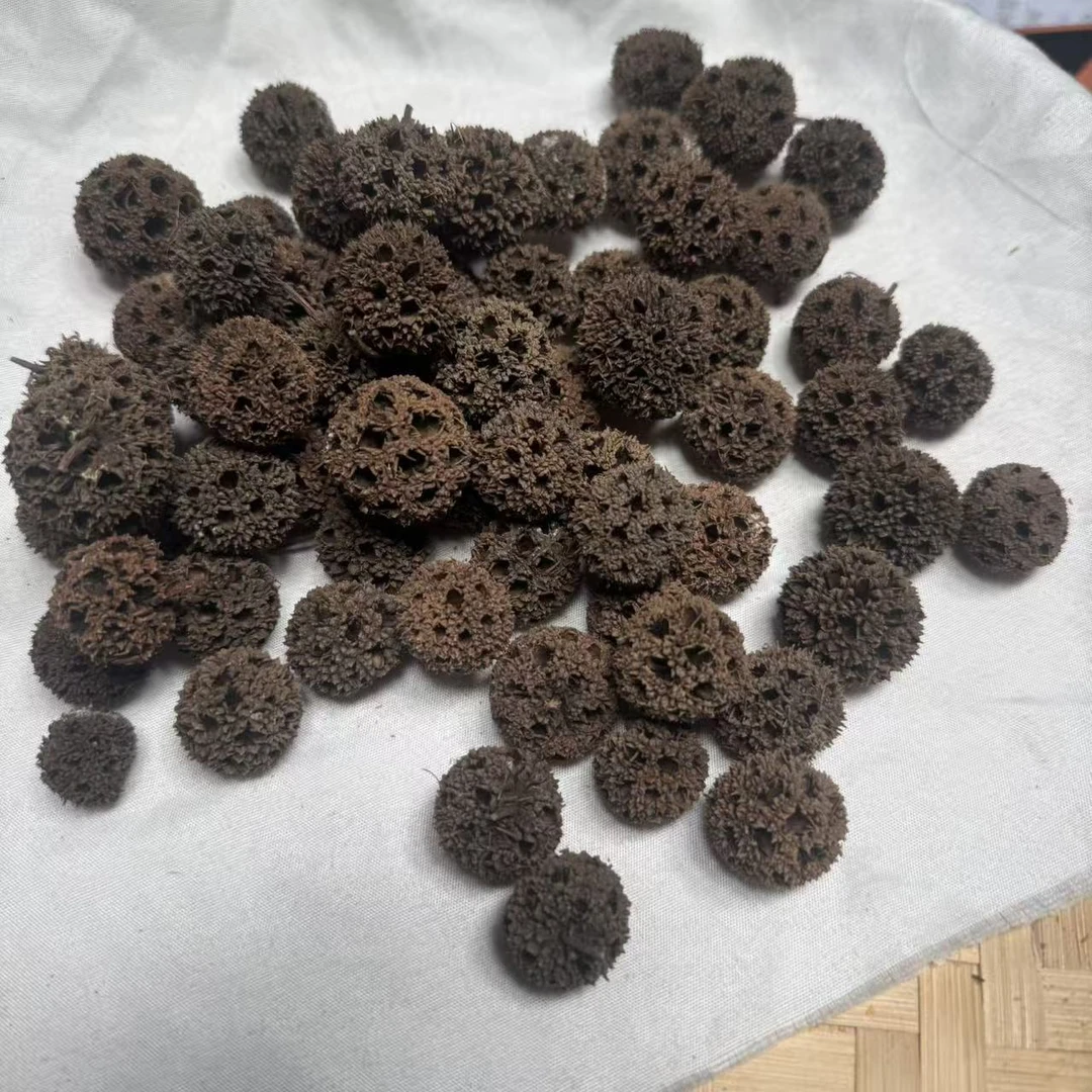 正宗路路通 可泡水