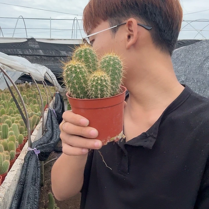 ^***扬无花朵大满贯哈哈哈哈哈哈
