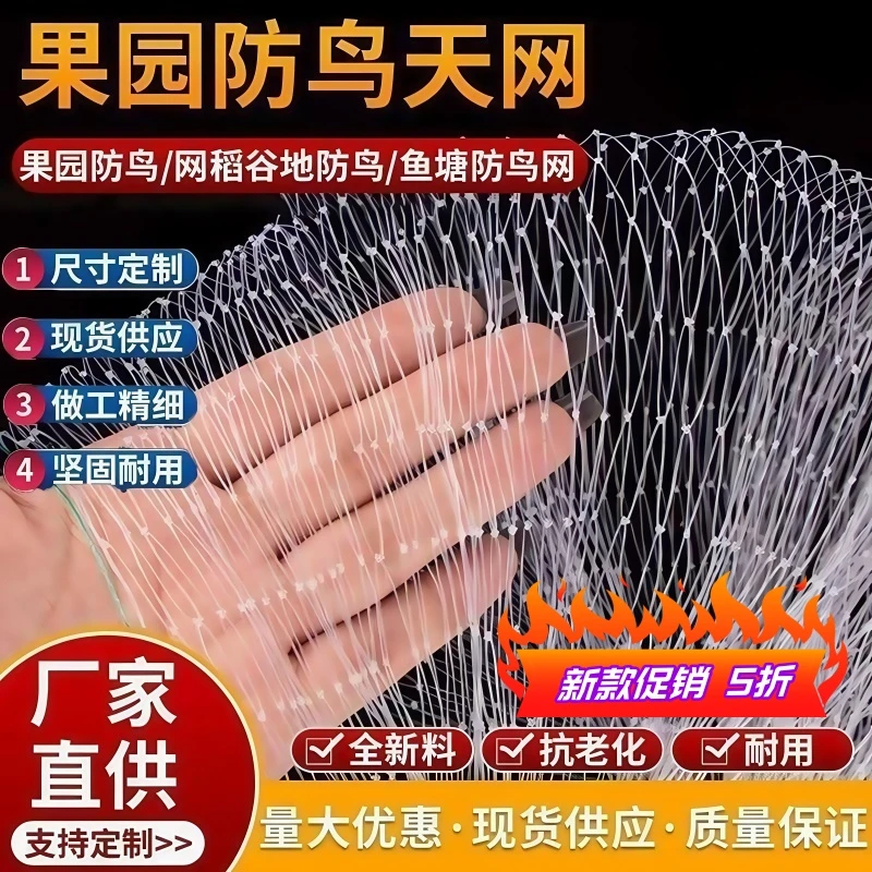 果园防鸟网尼龙网果树樱桃葡萄园防鸟用网鱼塘天网大棚防护养殖网